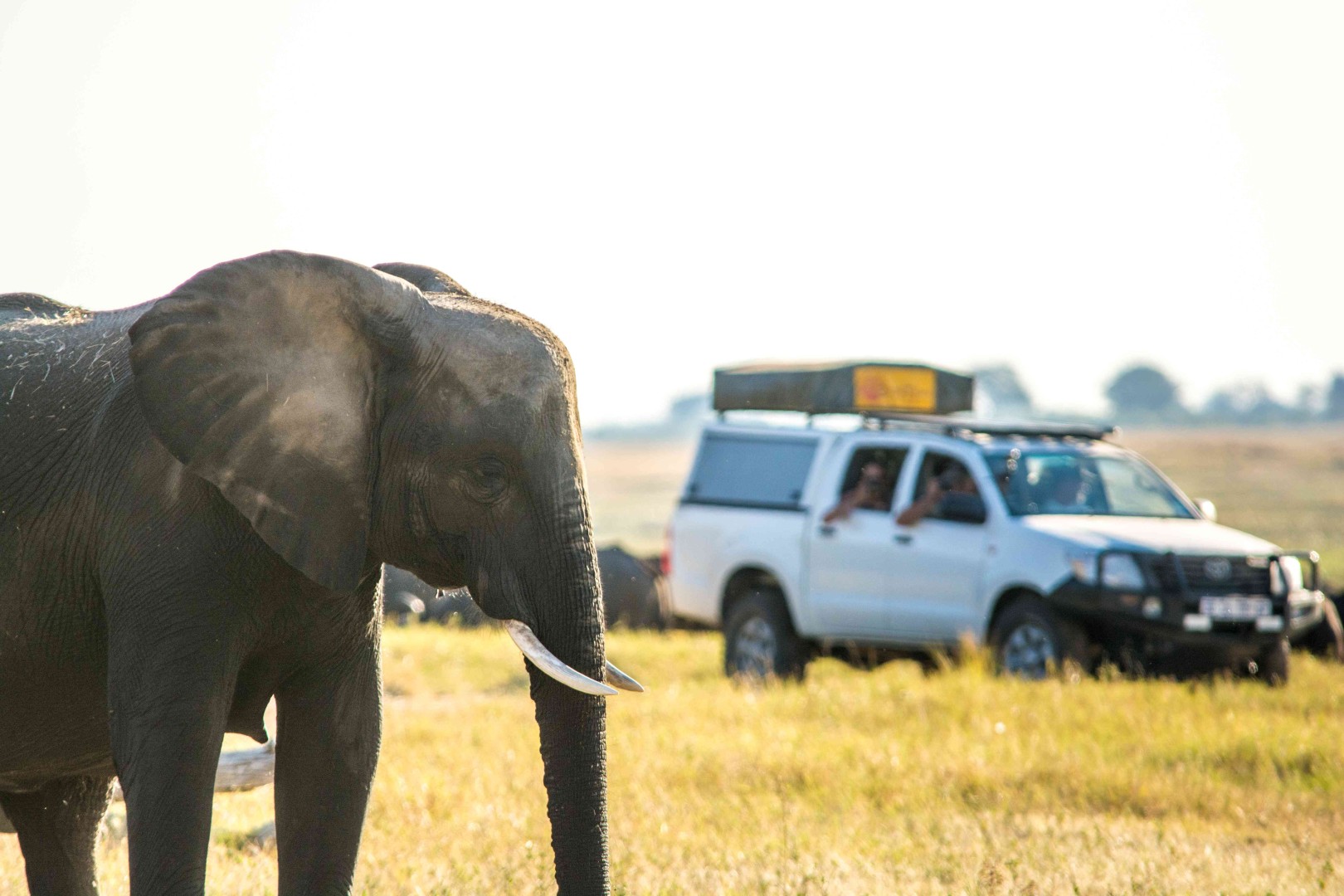 5 Night Botswana Camping
