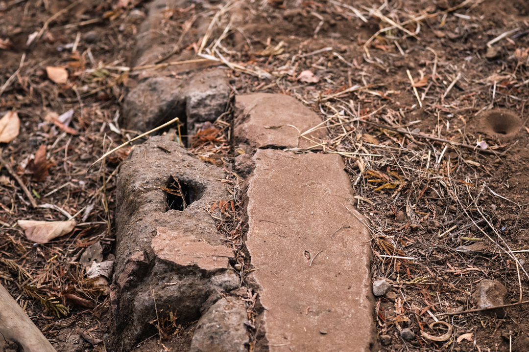 Chobe Bush Walk 2 2