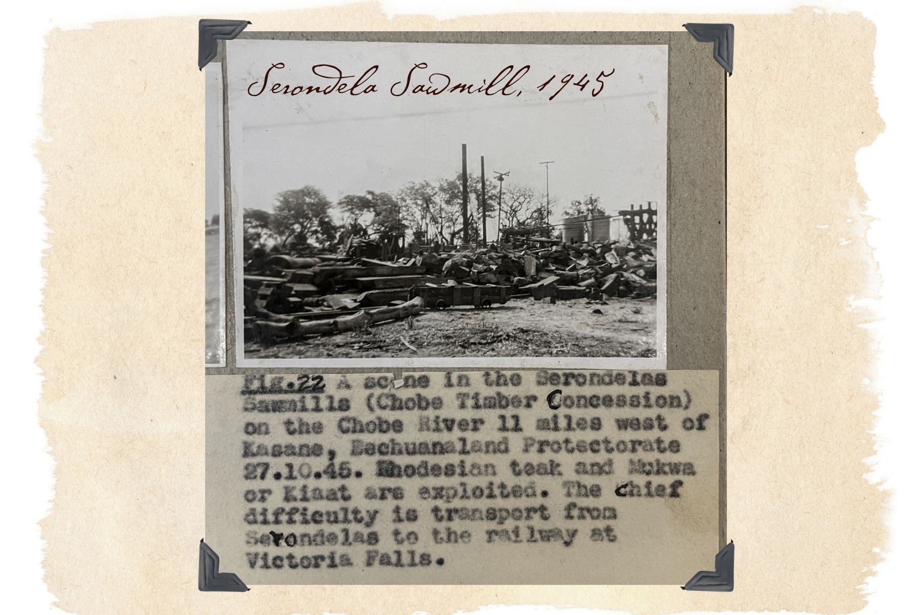 Chobe History Blog PIctures landsacpe