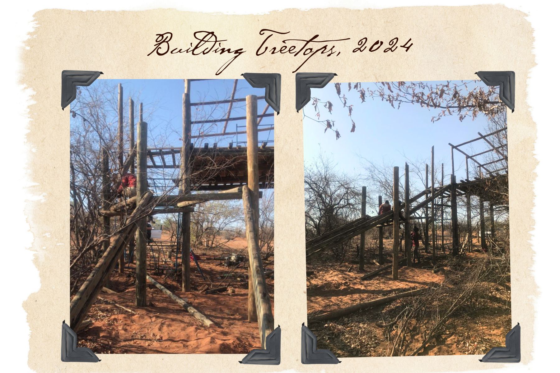 Building Treetops 2024