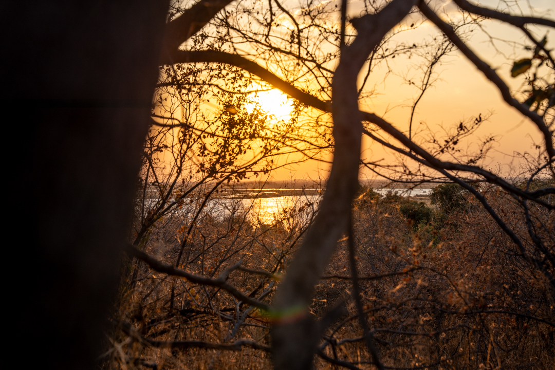 The Chobe Safari Lodge Treetops Lookout 1