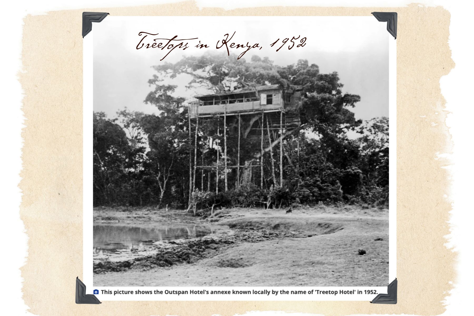 Treetops Kenya 1952