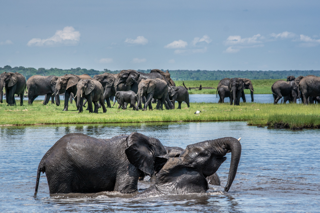 Chobe Green Season Botswana 2 2