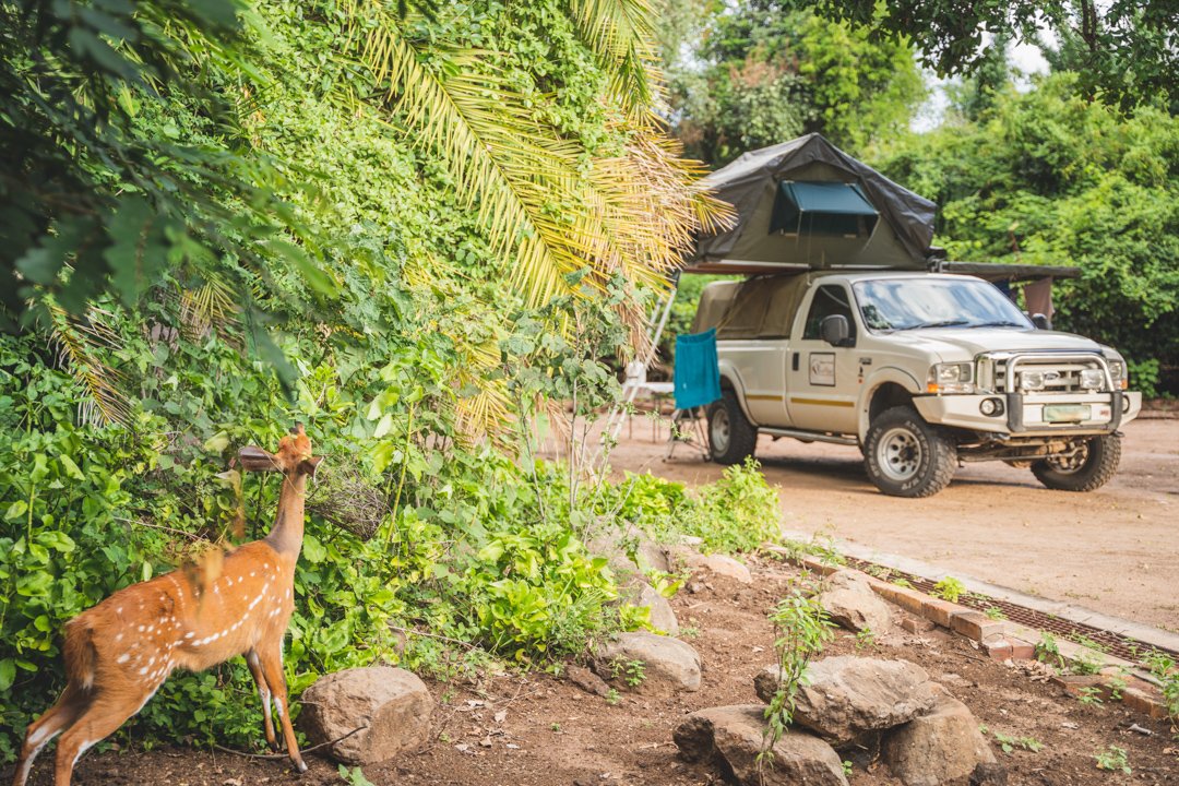 Is the Chobe Safari Lodge the Best Campsite in Kasane?