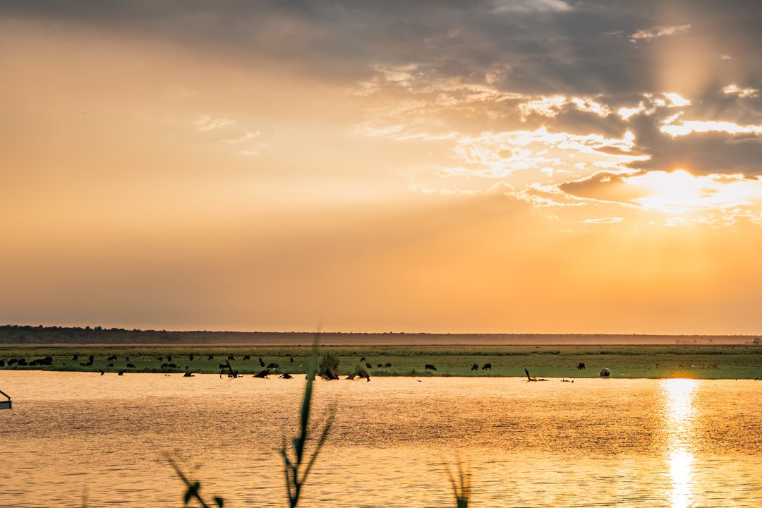 Best Campsite Botswana 9