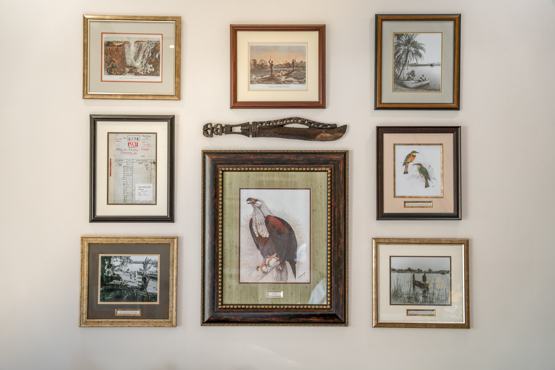 Gallery wall in the new Safari Rooms