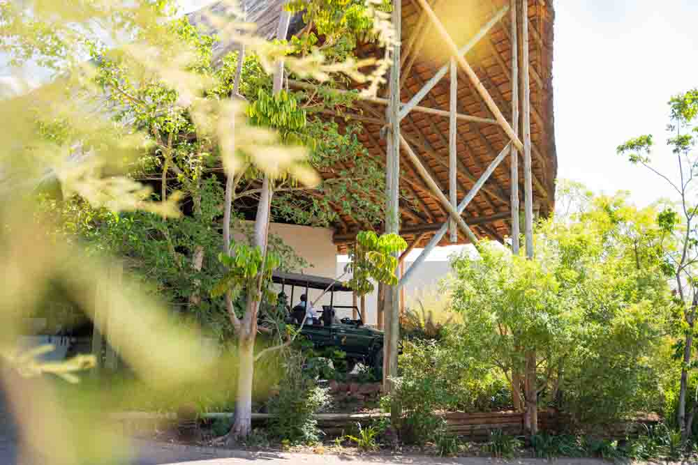 Chobe Bush Lodge Game Drive 1