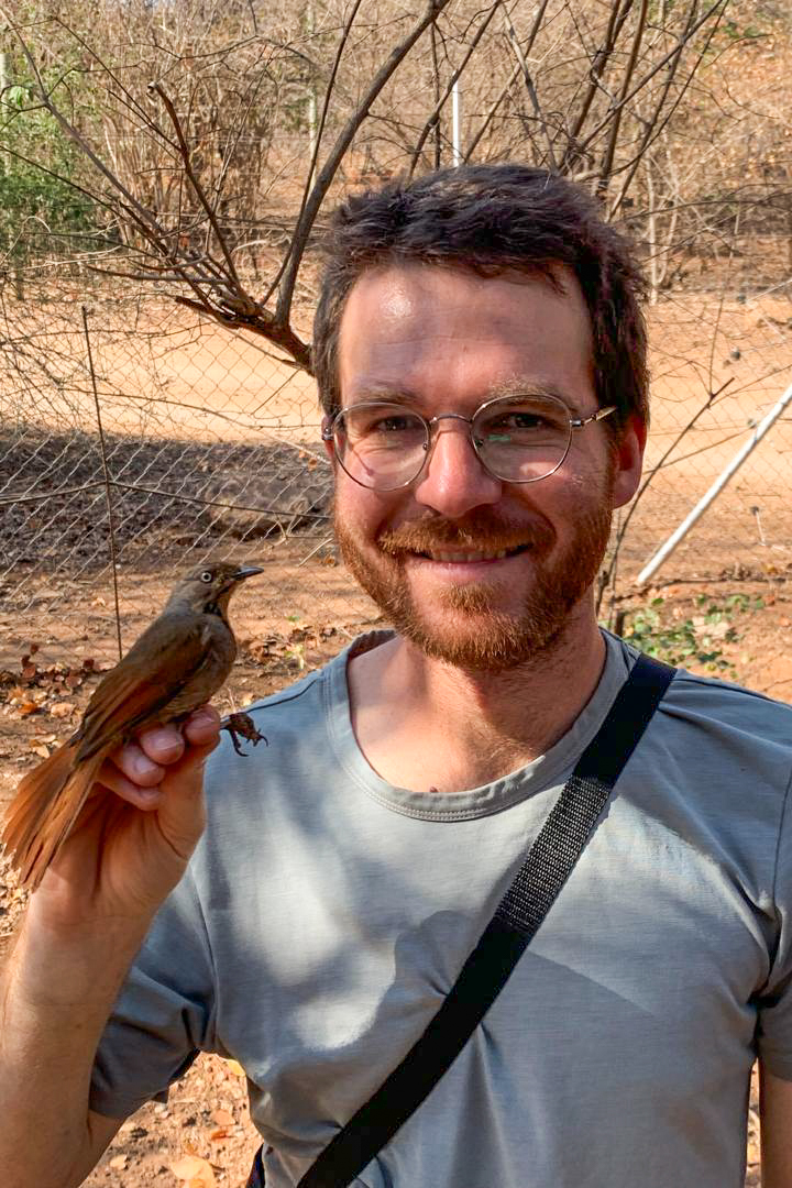 Chobe Immpact Birding Ringing at Chobe Safari Lodge by Lyn Francey 5
