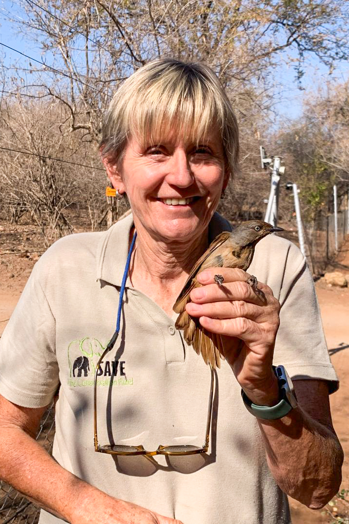 Chobe Immpact Birding Ringing at Chobe Safari Lodge by Lyn Francey 6