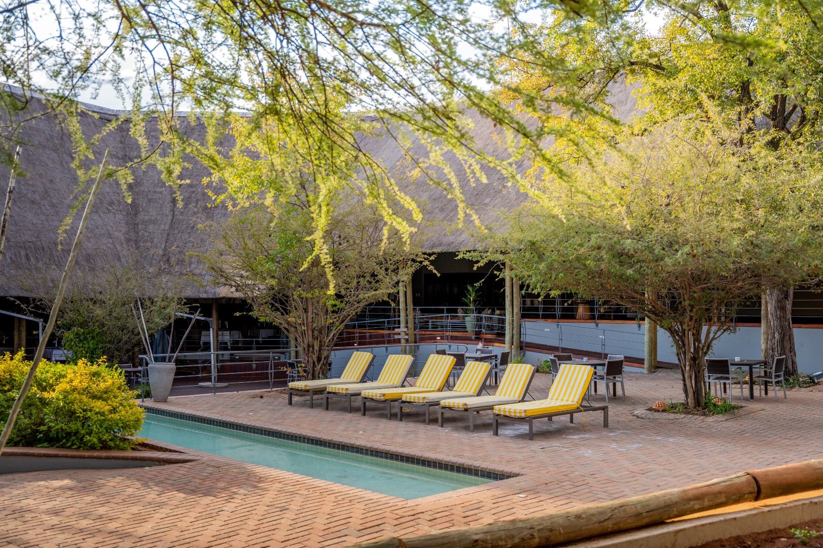 Swimming Pool at Chobe Bush Lodge