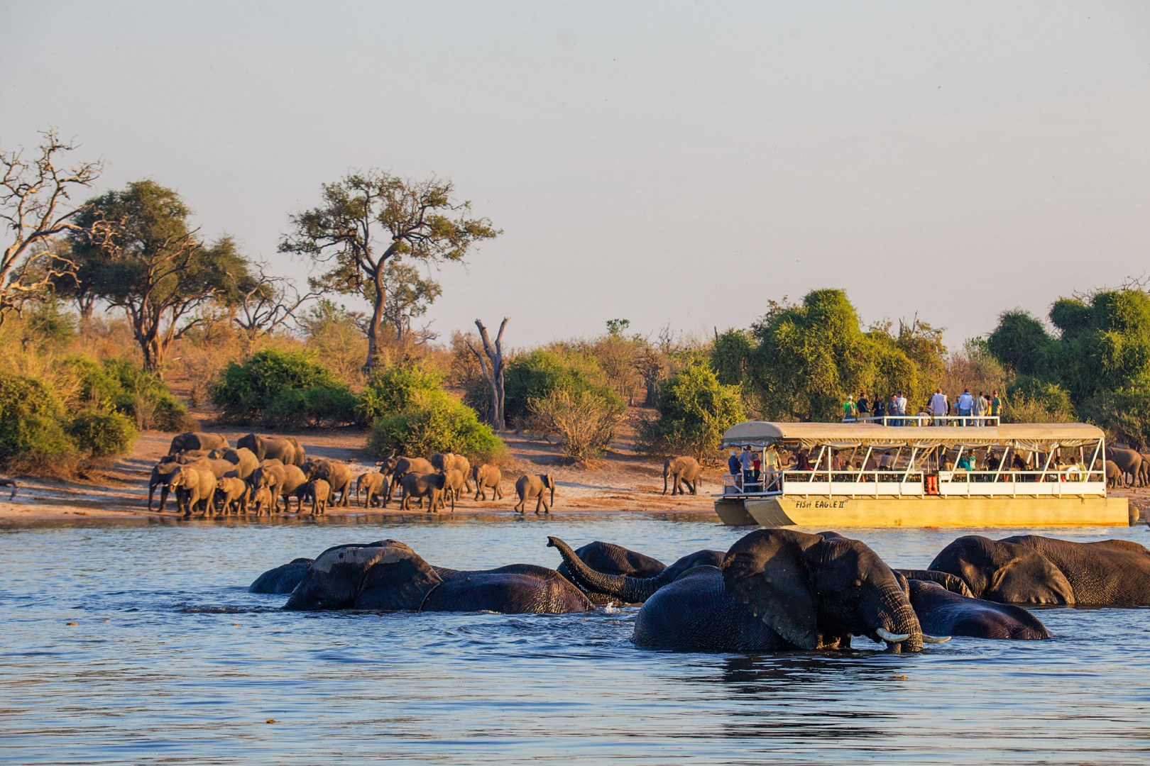 Sunset Cruise on the Chobe River