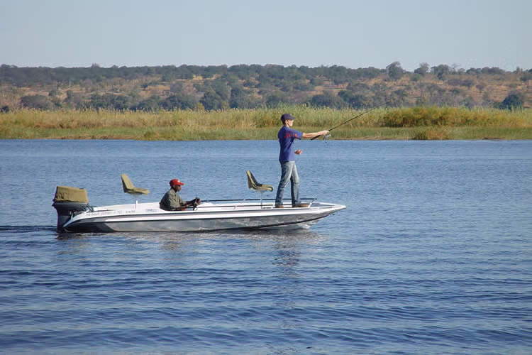 CATCH A TIGERFISH